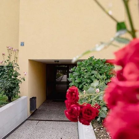 Residenza Robinia - Objekt 6500 Appartement Locarno